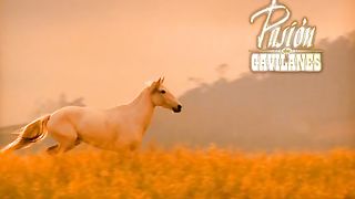 PDG Capítulo 168