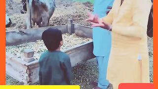 پاکستانی عورتیں بھی کمال کرتی ہیں ????