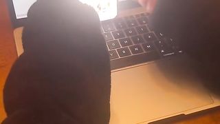Best life hack for school!  useful gadgets for students
