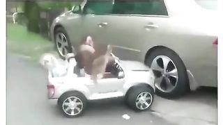 Monkey Drive Full Funny