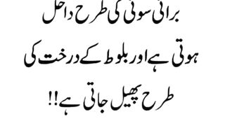 Most beautiful urdu Quotes 20