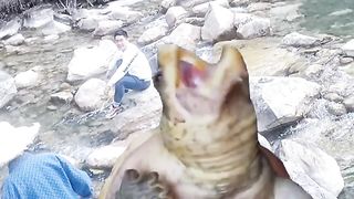 Amazing facts video ????????