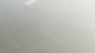 Fishing 14