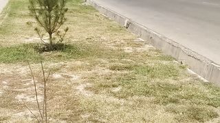 Uzbekistan 4