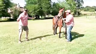 Try Not To Laugh Funny Videos - Outdoor Fails You Won't Believe 2
