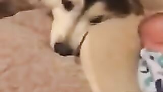 Baby and dog became friends