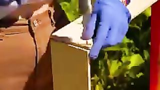 Bee house