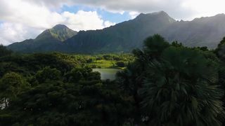Hawaii 4
