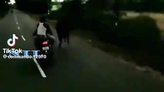 Funny video spot me bhai log 85