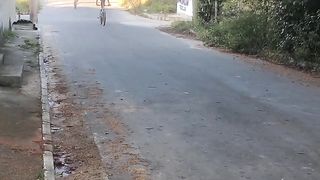 Grau 244 de bike (bicicleta)