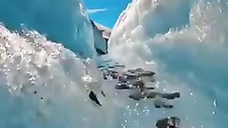 Amazing view 11