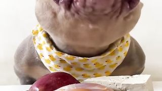 Babby eating raw meat fruit d