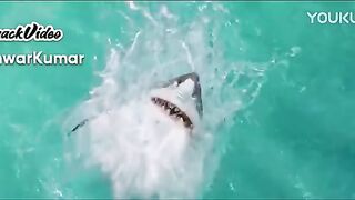Action movies english