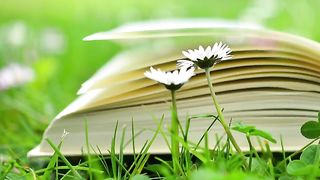 1 hour of Study Music for Concentration, Relaxing Music, Sleep Music, Meditation Music, Focus Music
