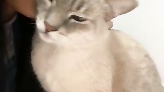 ???????? 105