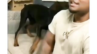 funny animal video 4