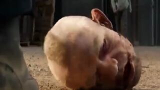 Top action movie (subscribe please)