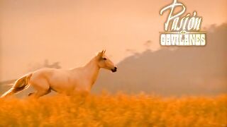 PDG Capítulo 172