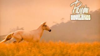 PDG Capítulo 173