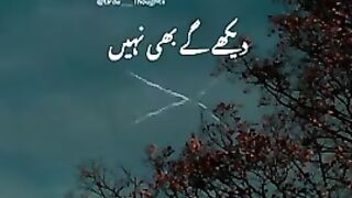 Best bayan 3