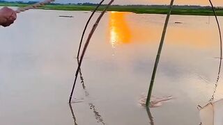 Natural view of fishing