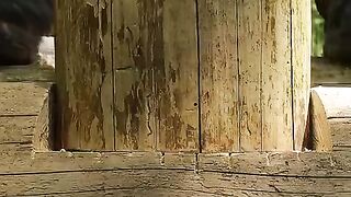 Булдин