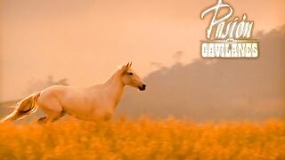 PDG Capítulo 179