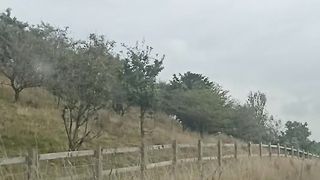 UK travelling part-3????????