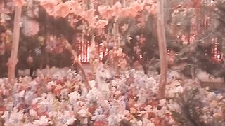 Temps de flors