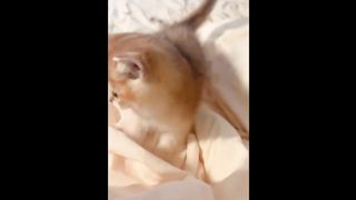 Cutest kittens in the world!!!????????YOU HAVE TO SEE!!!????