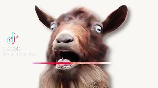 Eid WhatsApp status