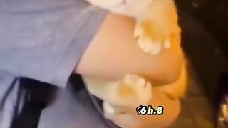 قطه جميله