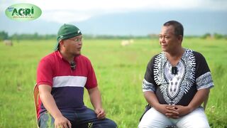 Coco Peat Production - Basura na Naging Pera - Negosyong Nakapag Paunlad