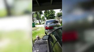 Hilarious Showdown: Pets vs. Kids & Babies Fail Compilation | Funny Pet Videos