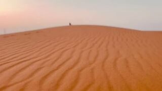 Nature of desert