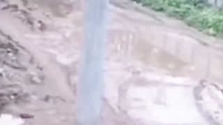 FUNNY TRUCK ACCIDENT ON REELS