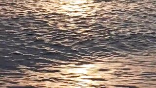 "Sun-kissed and ocean-blissed." subscribe for more nature content.