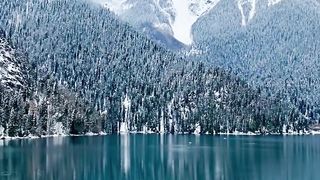 "Nature's beauty shines like a beacon of hope in a chaotic world."
