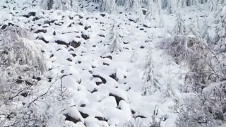 "Cozy Winter Adventures" subscribe for more nature content:)