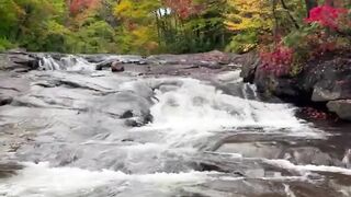 "Nature's beauty: subscribe for more nature content"