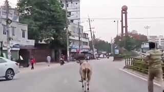 Run Run