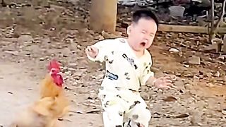 Funny Chicken video