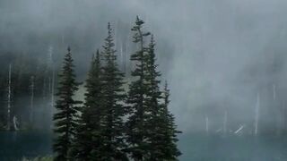 Beautiful nature,peace of mine