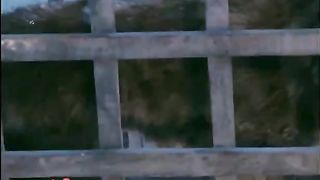 Wolf bollywood Movie Action and Horror