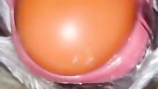 How a fowl lays eggs????????