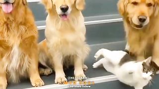 Best family photo