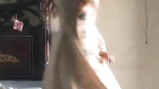 Dance 157