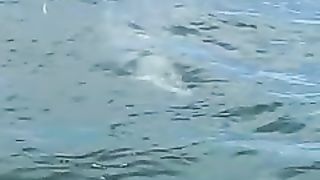 Biggest hammerhead ever_ ????TwoConchs with Hammer Time!_low.