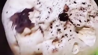 react to funny videos