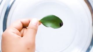 Science magic tricks ???? unbelievable